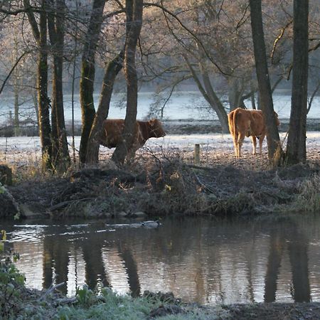 Le Gite De L Ourthe Ortheuville Esterno foto