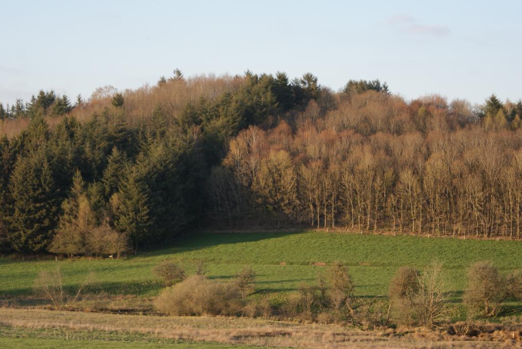 Le Gite De L Ourthe Ortheuville Esterno foto
