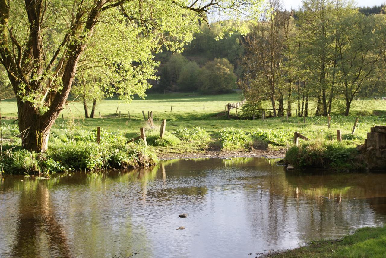Le Gite De L Ourthe Ortheuville Esterno foto