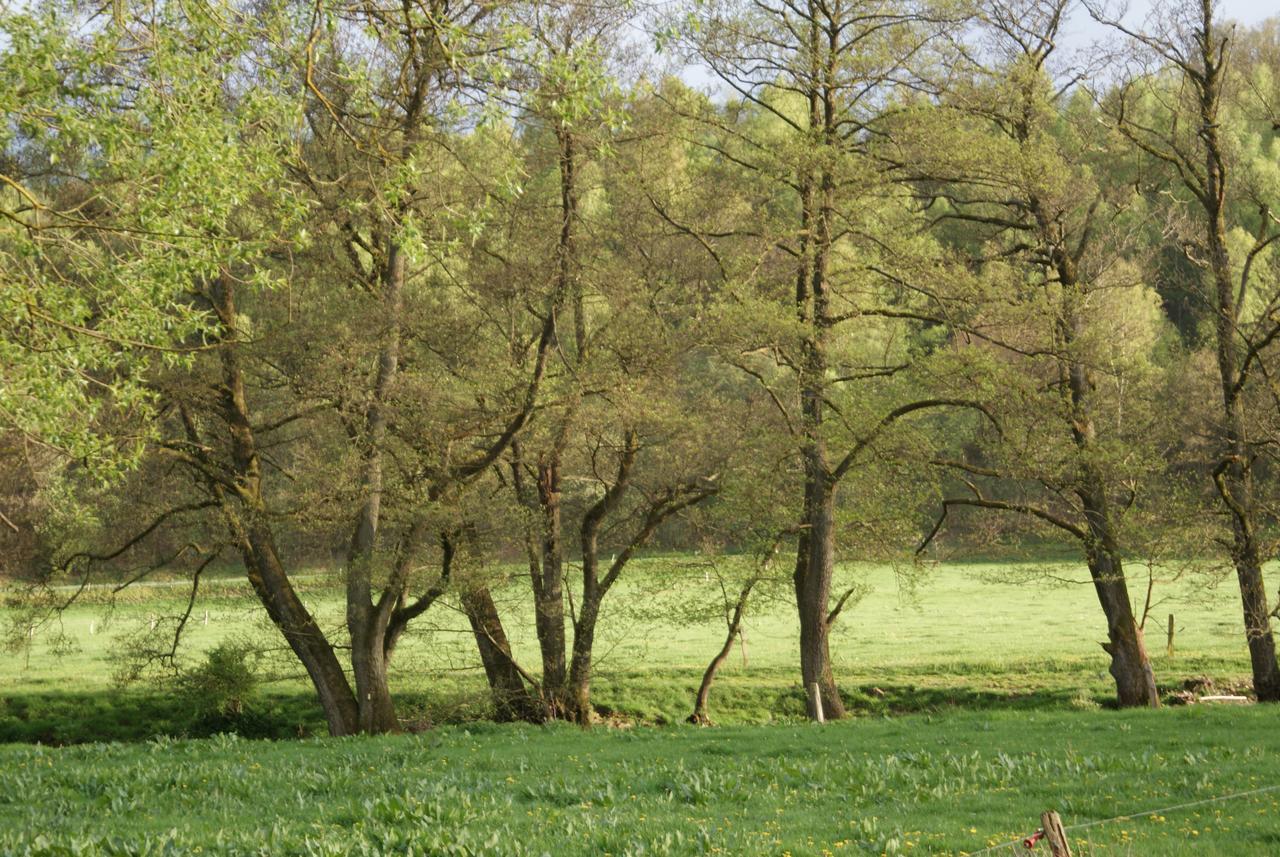 Le Gite De L Ourthe Ortheuville Esterno foto