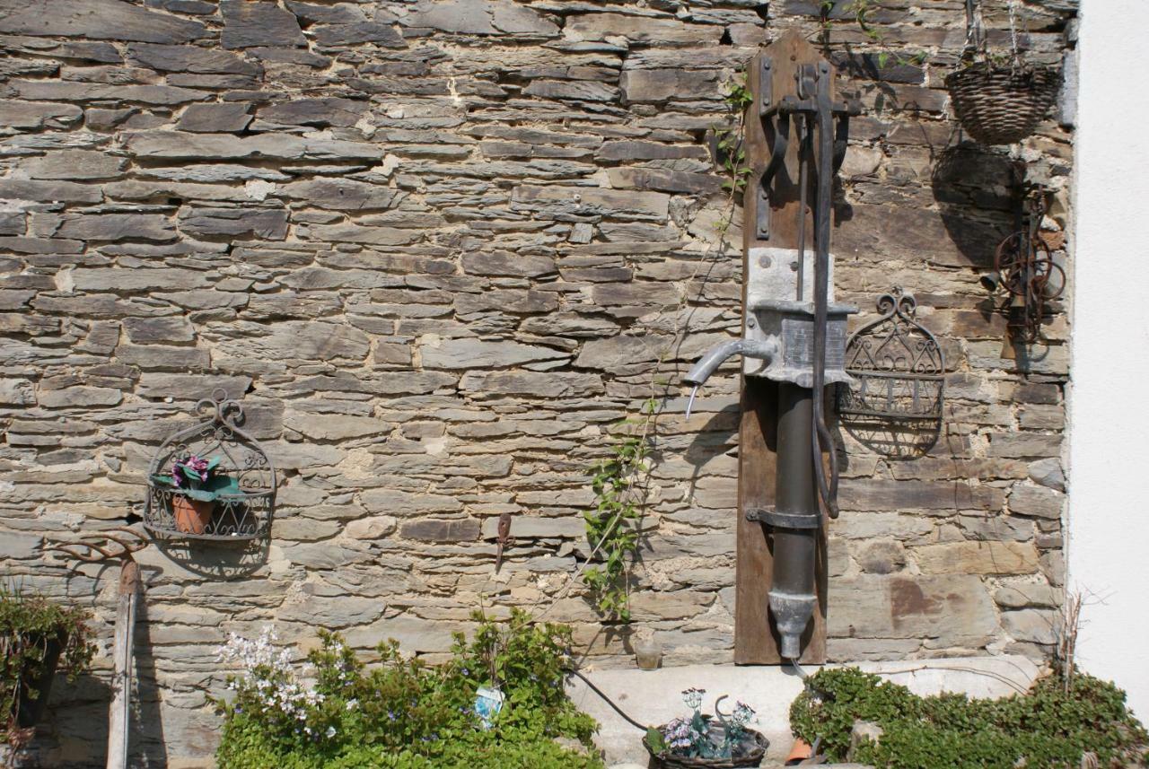 Le Gite De L Ourthe Ortheuville Esterno foto